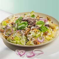 سالاد استیک